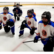 Academy of Ringette: Warriors Train to Excel Spring Development 2026