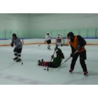 Academy of Adult Hockey - Coed Train to Compete Spring Hockey Camp 2024