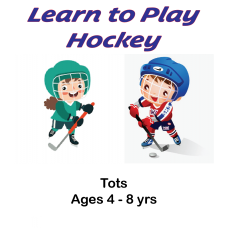Learn to Play Hockey or Ringette - Weekday Mornings @ Sardis Sports Complex - Winter 2026